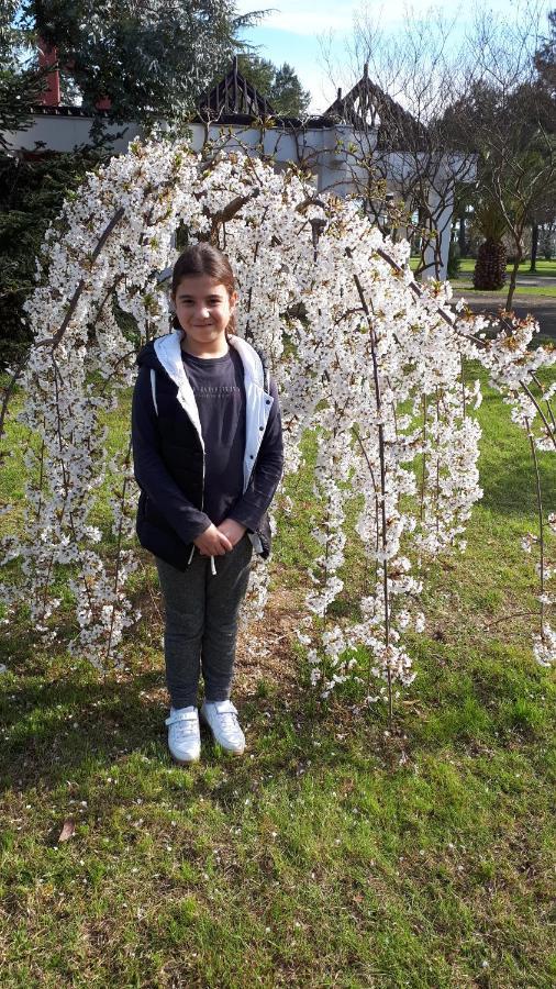 Домики У Лизы Под Ключ ปิซุนดา ภายนอก รูปภาพ